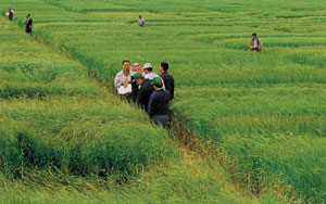 مزارعون في المفرق يؤجلون اعتصامهم للاسبوع المقبل