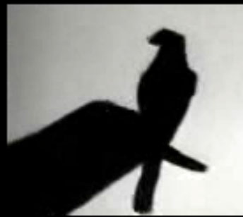 حركات بالاصابع