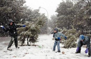 عجلون تفاؤل بموسم زراعي جيد والمزارعون يبدأون الاستعداد لموسم غرس الاشجار المثمرة  