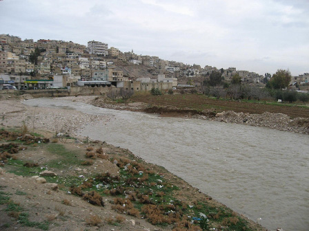 وفاة مواطن اردني في سوريا وفاة مواطن اردني في سوريا