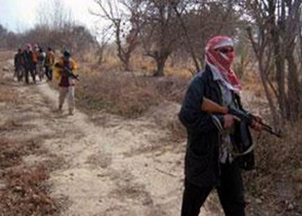 اختطاف سائحتين أمريكيتين ومرشدهما في سيناء