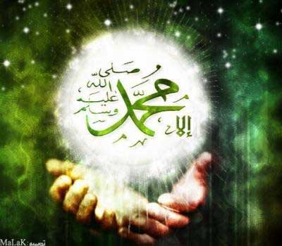 الطفيلة تحتفل بذكرى المولد النبوي الشريف 