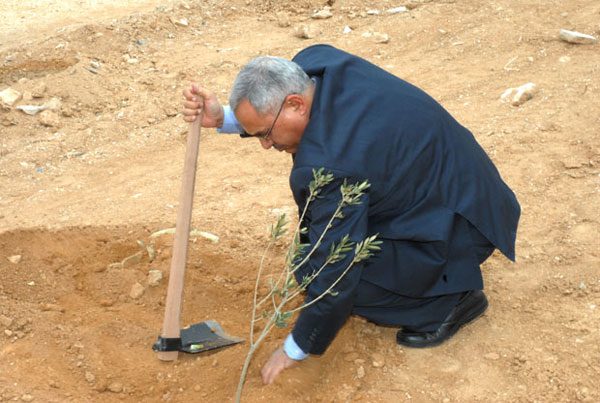 الجامعة الهاشمية تحتفل بعيد الشجرة بزراعة (1500) غرسة مثمرة وحرجية ( صور )