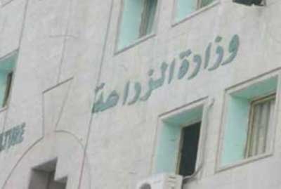 حدادين: الامطار تجدد آمال المزارعين وتحسن المخزون المائي  