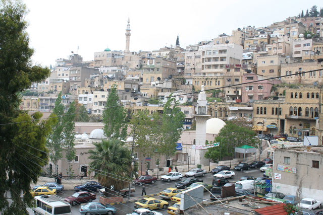 الرياح تقتلع شجرة حور السلط المعمرة الرياح تقتلع شجرة حور السلط المعمرة