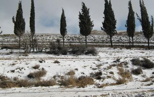 تساقط الثلوج في مناطق الشوبك واقليم البترا وقضاء ايل وجرش 