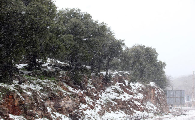 مرتفعات الطفيلة تكتسي حلة بيضاء من الثلوج 