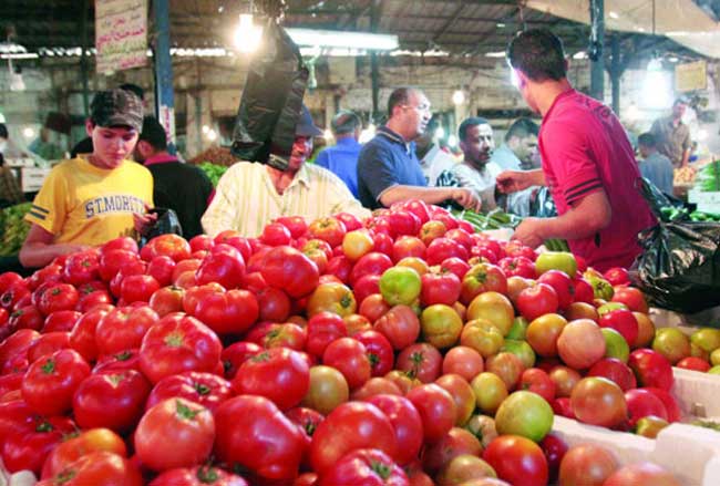 جمعية "جيبا" تقترح حلولاً للمشكلات التسويقية 