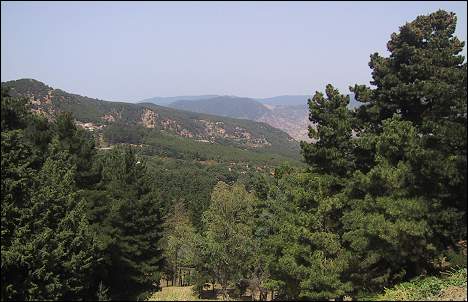 انتخاب الشوبكي نائبا أول لرئيس مكتب هيئة الغابات والمراعي للشرق الأدنى  