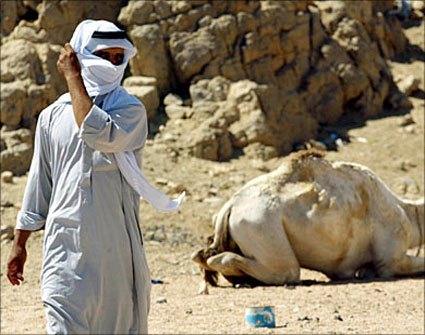 المختطفون الأردنيون في سيناء يصلون ميناء نويبع ( تحديث ) المختطفون الأردنيون في سيناء يصلون ميناء نويبع ( تحديث )