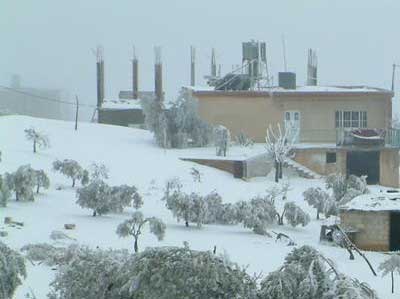 الاردنيون فرحوا بجود السماء فزادوا بالعمل والعطاء  