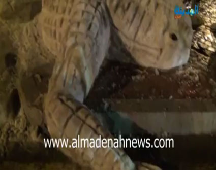 سحلية من الثلج على دوار الواحة ( فيديو ) 