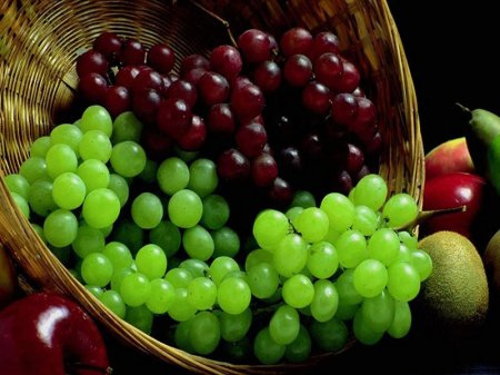 ورشة عمل حول آفات وامراض العنب  