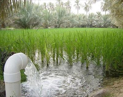 37 بئر ماء حكومي متوقفة عن العمل بسبب عدم وجود " مضخات " 37 بئر ماء حكومي متوقفة عن العمل بسبب عدم وجود " مضخات "