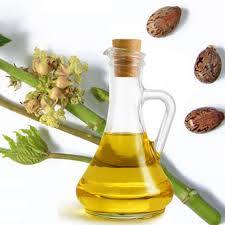 زيت الخروع.. علاج طبيعي للإمساك