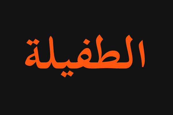 ورشة عمل للبرلمان الطلابي ولجنة النهوض الوطني في الطفيلة