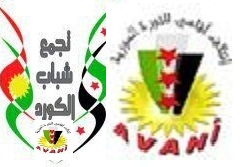 مئات المتظاهرين الكورد يعتصمون في مختلف المحافظات السورية 