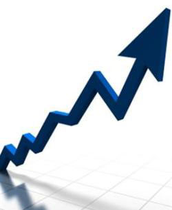 ارتفاع كميات انتاج لحوم الدواجن 5ر17 بالمئة  