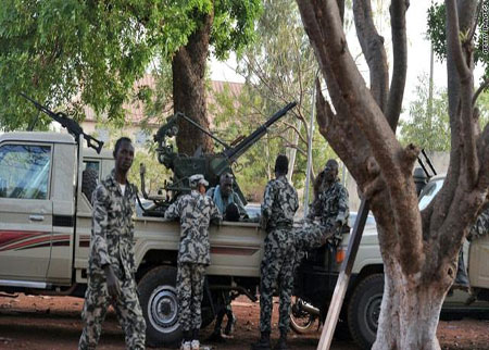 ثوار مالي يوقفون القتال واحتجاز قنصل الجزائر بغاو