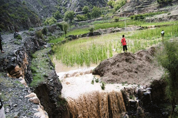 مواطنون يشكون تحول وادي الجرم بالمشارع الى مكاره صحية 