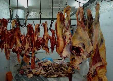 اغلاق مسلخ دواجن وملحمة في اربد واتلاف لحوم غير صالحة  