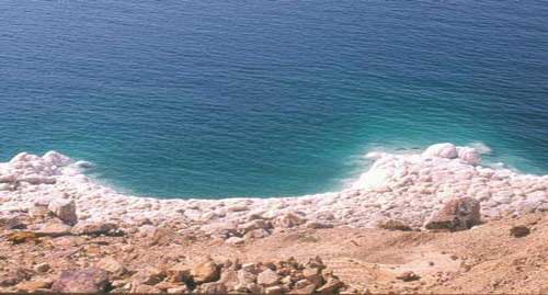 تنظيم حملة اجتماعية بيئية لنظافة منطقة البحر الميت والمياه الساخنة 