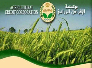 169 مزارعا استفادوا من خدمات الإقراض الزراعي في إقليم الشمال