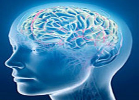 الإعجاز العلمي في السمع والبصر والبيان محاضرة في منتدى الرواد 