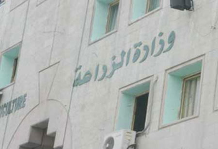 امين عام الزراعة يتفقد مشاريع تنموية في البادية