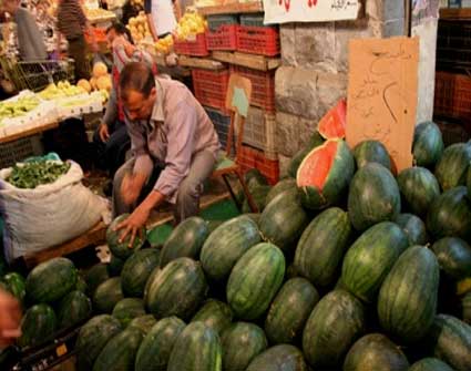 معرش البطيخ ب 500 دينار مستردة في عمان معرش البطيخ ب 500 دينار مستردة في عمان