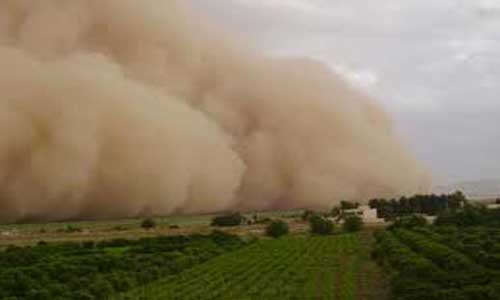 رئيس بلدية الرصيفة ..النهوض بمستوى الخدمات ضرورة ملحة