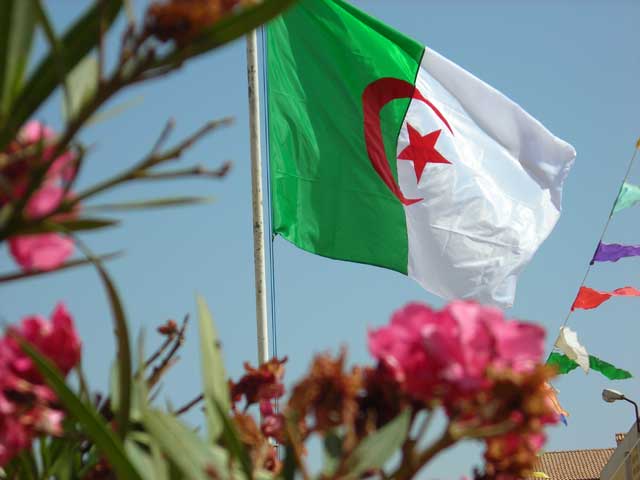 فتوى مثيرة تخيّر الجزائريين بين الانتخاب أو دخول الناتو للجزائر فتوى مثيرة تخيّر الجزائريين بين الانتخاب أو دخول الناتو للجزائر