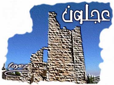تنظيم ندوة عن قيم ومفاهيم العمل التطوعي في عجلون تنظيم ندوة عن قيم ومفاهيم العمل التطوعي في عجلون