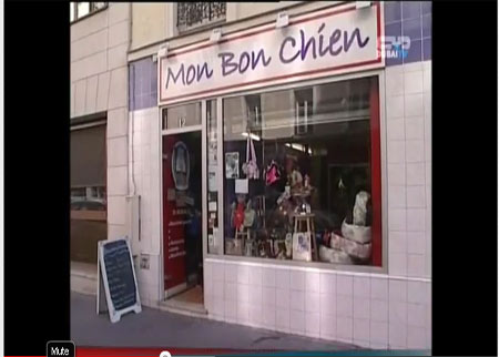 مطعم للكلاب