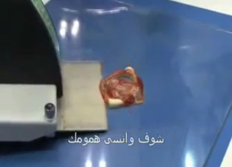 اختراع يجنن العقل 