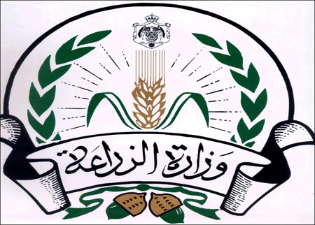 اعتصام لعمال المياومة في زراعة الكرك