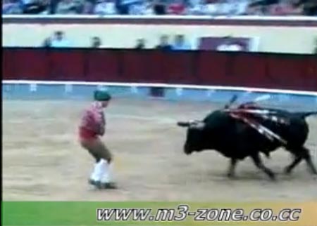 موت مصارع الثيران