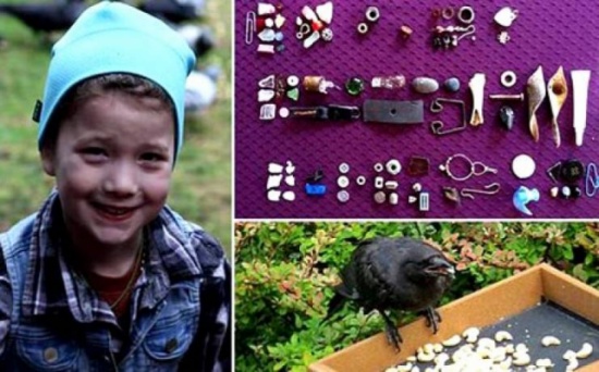 صور| هذه الطفلة أصبحت من الأثرياء بعد مفاجأة غريبة حدثت معها!!