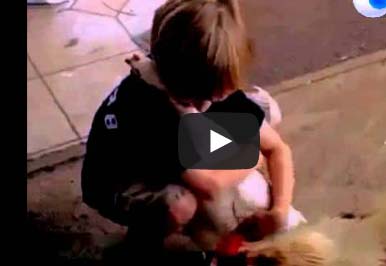 طفل يحتضن دجاجة رعاها منذ صغره