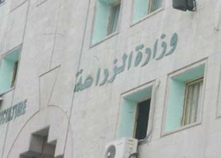 "الزراعة" تعتمد شهادة الإنتاج لشراء القمح والشعير بالسعر المدعوم