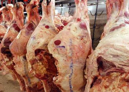 اتلاف ما يقارب الطن من الالبان واللحوم الفاسدة في الرصيفة اتلاف ما يقارب الطن من الالبان واللحوم الفاسدة في الرصيفة