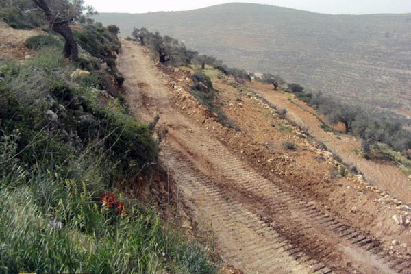 مطالب بتحسين طرق قروية وزراعية في الكورة  