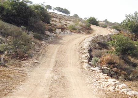 تخصيص987 الف دينار لفتح الطرق الزراعية في عجلون 