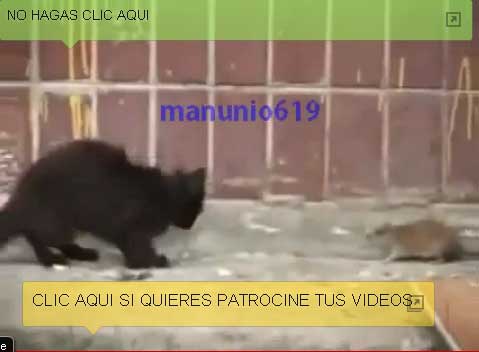شاهد بنفسك ماذا حصل 