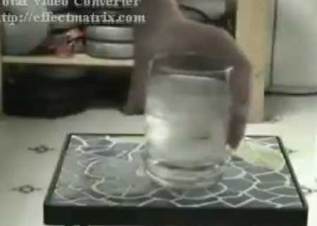 اصنع تلج في 5 ثواني 