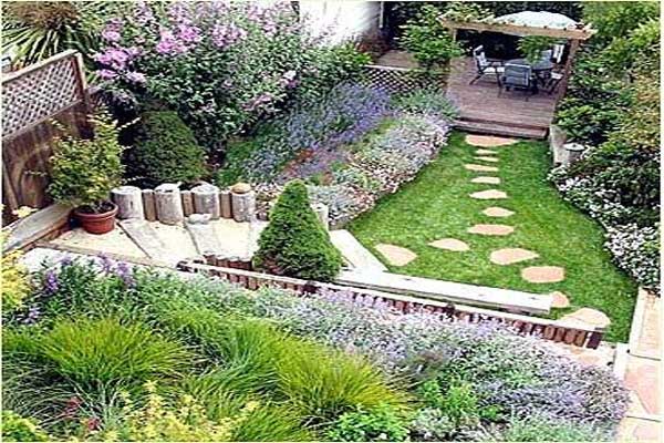 دورة تدريبية حول حدائق الندرة المائية دورة تدريبية حول حدائق الندرة المائية