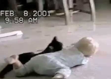 طفل و قطة 