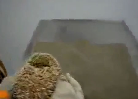 سبحان الله صوت القنفذ 