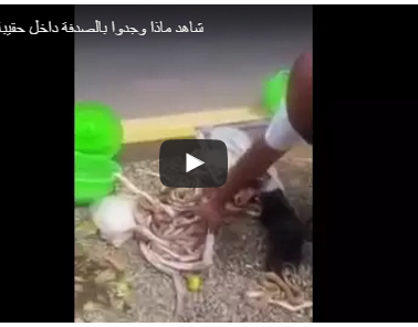 بالفيديو.. شاهد ماذا عثروا داخل حقيبة حاج مصري في السعودية بالفيديو.. شاهد ماذا عثروا داخل حقيبة حاج مصري في السعودية