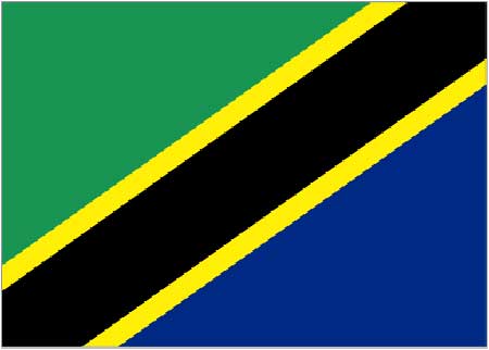 العثور على 42 مهاجراً سرياً مختنقين في شاحنة مكتظة في تنزانيا